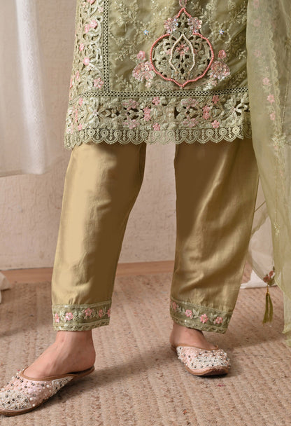 Noor-E-Gulnaar - Pure Organza