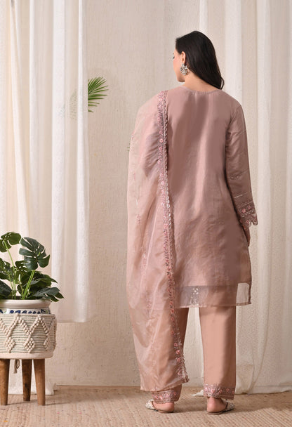 Noor-E-Gulnaar - Pure Organza