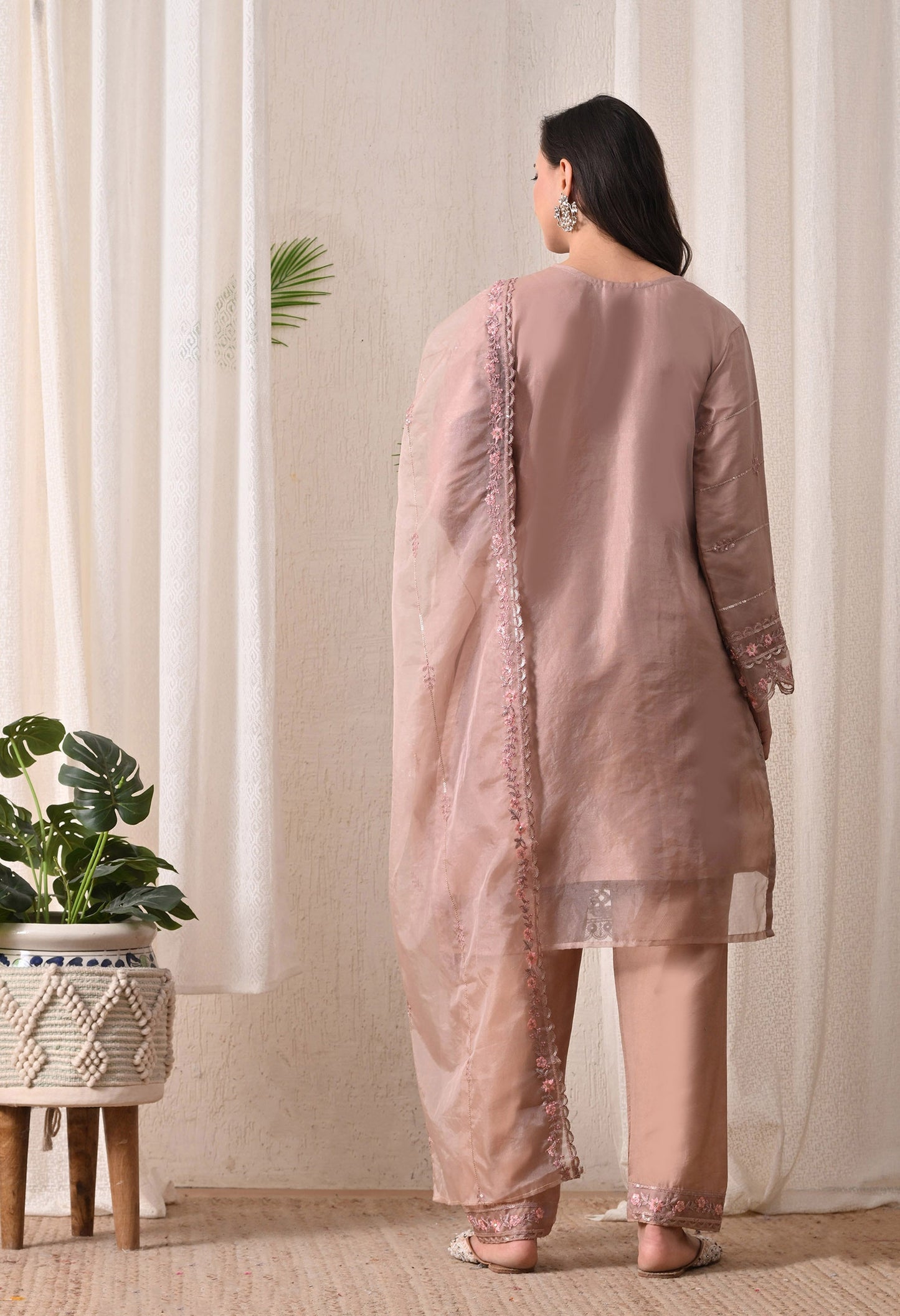 Noor-E-Gulnaar - Pure Organza