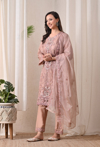 Noor-E-Gulnaar - Pure Organza