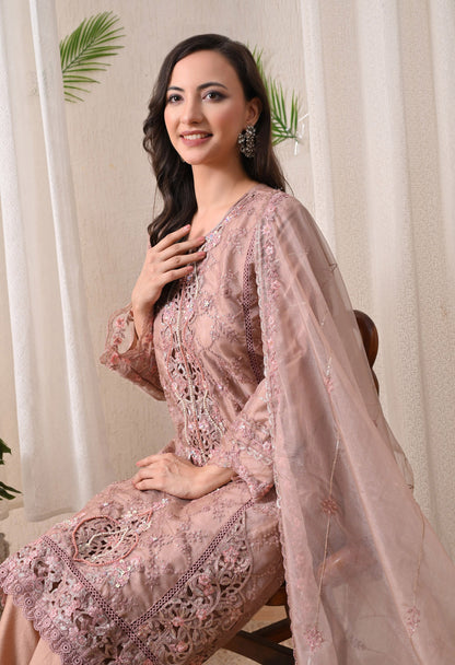 Noor-E-Gulnaar - Pure Organza