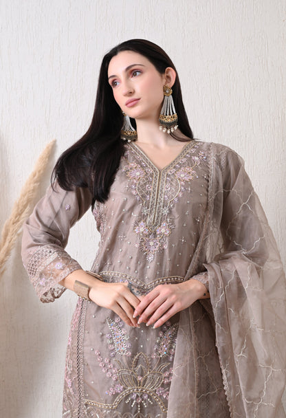 Shahnoor - Pure Organza