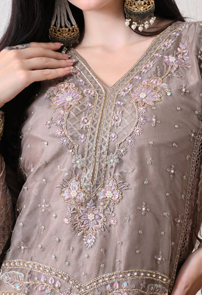 Shahnoor - Pure Organza